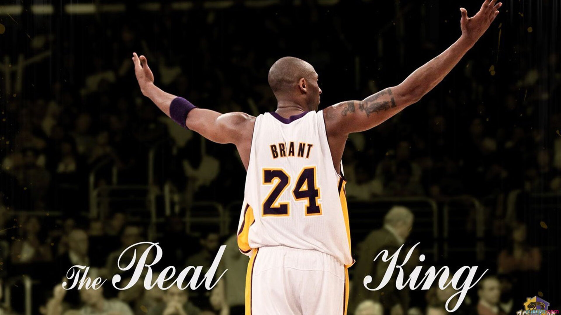 青少年“智慧青训”创新平台在广州全面推广，推动行业数字化发展